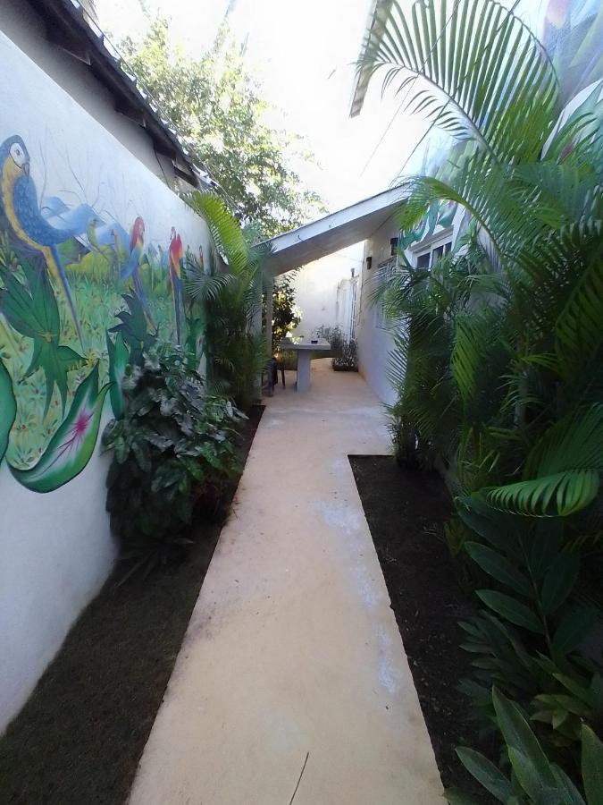 Beach Hotel Casa Nina Лас Теренас Екстериор снимка