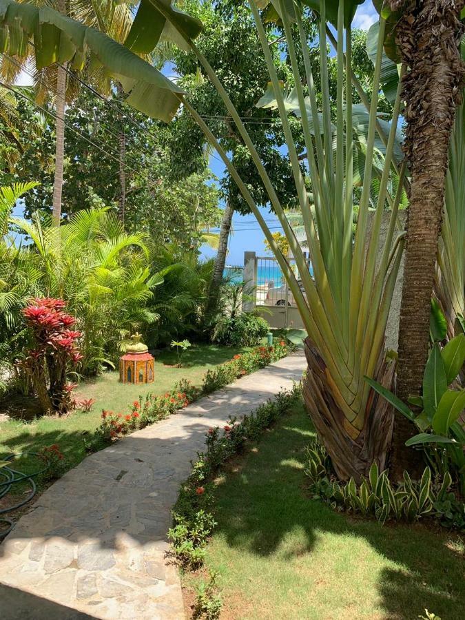 Beach Hotel Casa Nina Лас Теренас Екстериор снимка